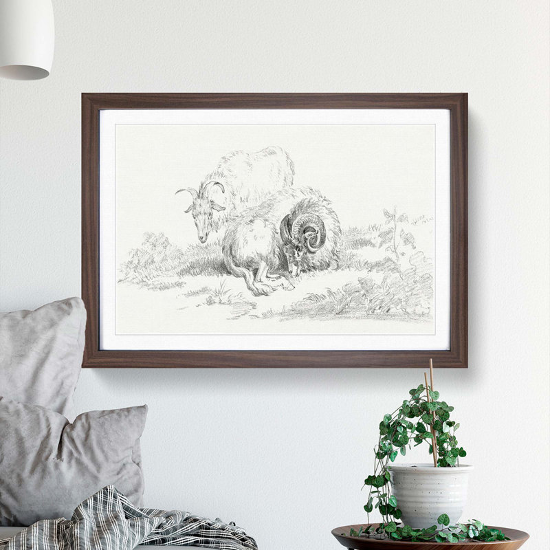 Sketch of Two Goats by Jean Bernard - Picture Frame Drawing Print, Walnut Framed, 36cm H x 48cm W x 2cm D