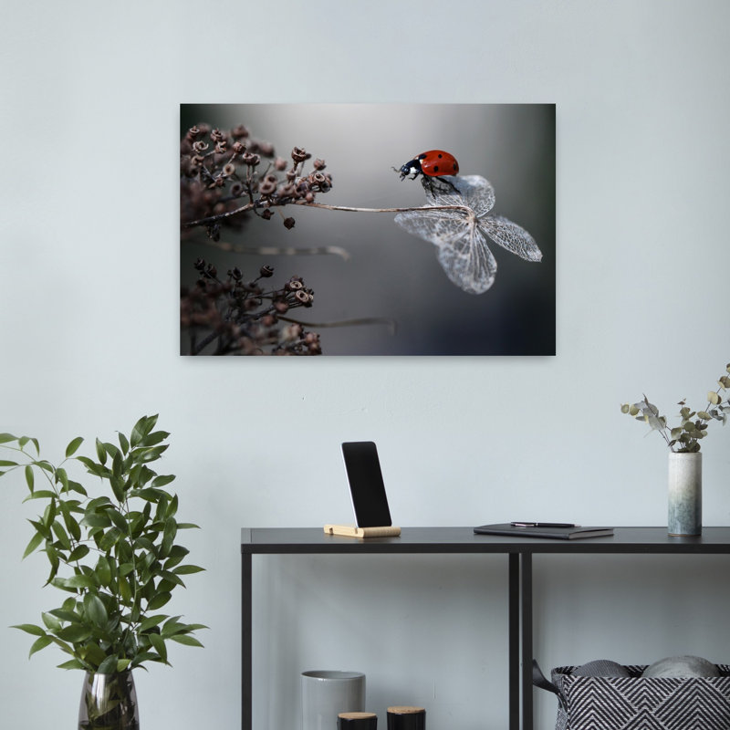 Ladybird on hydrangea. Contemporary Ladybird Ladybug Hydrangea Autumn Flower Wall Art Print, 40.64cm H x 60.96cm W