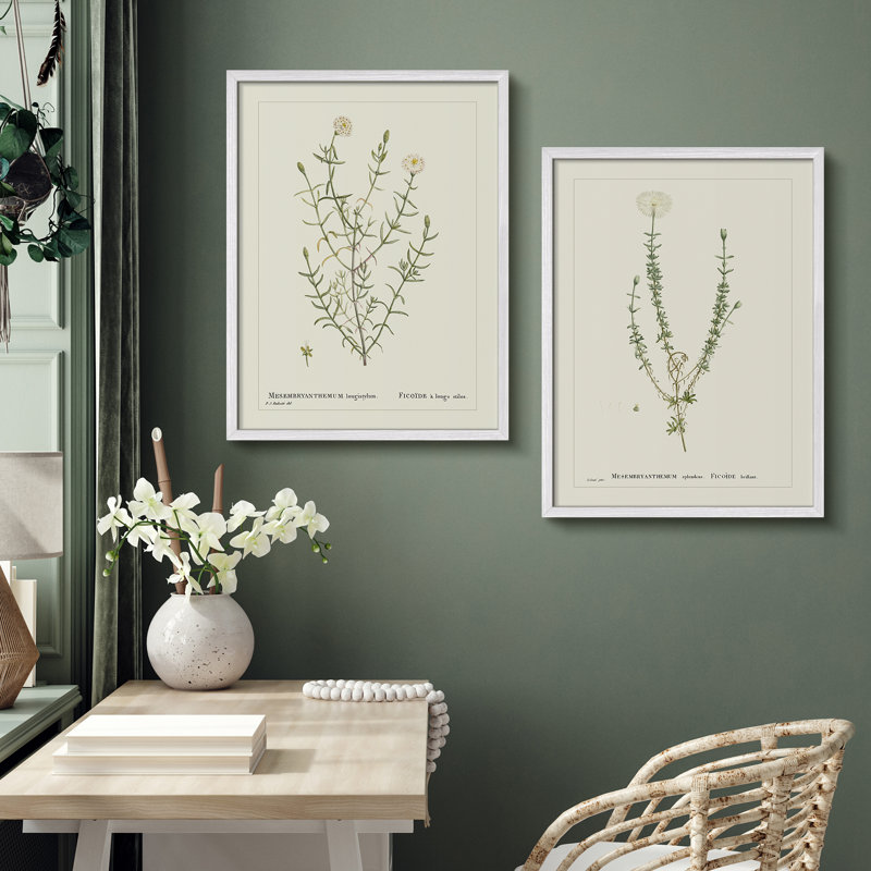«Vintage Botanical Herb Study», ensemble de 2 reproductions d'art encadrées - Illustration de plante classique pour la salle à manger de la cuisine
