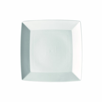 Porcelain Dinner Plate