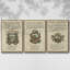 Ensemble de 3 ex-libris encadrés sur toile embellis II-97795488-97795489