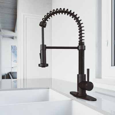 Edison 19" H 1-handle Pull-Down 2-Function Sprayer Kitchen Faucet and Deck-Plate
