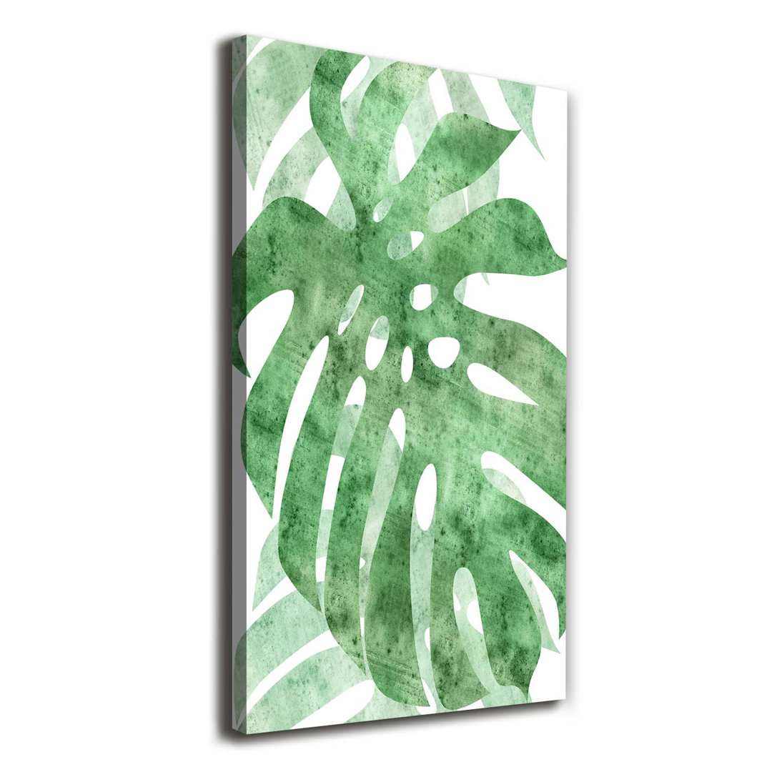 Monstera - Kunstdrucke auf Leinwand - Wrapped Canvas