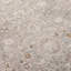 Power Loom Polyester Oriental Area Rug in Taupe/Ivory-1747719248-1763575710