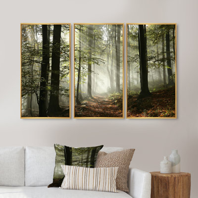 «Light In Dense Fall Forest With Fog», ensemble d'art mural sur toile encadré paysage
