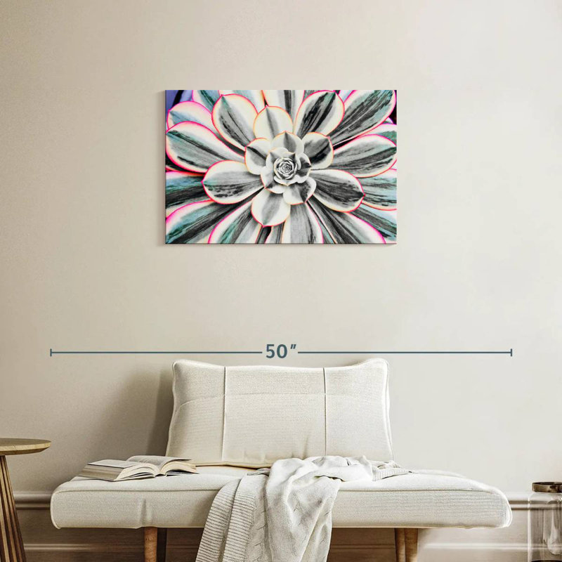 Succulent fluorescent Harnek