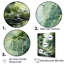 Tranquil Shadows Green Forest I, reproduction d'art sur toile-1074444545-1074444544