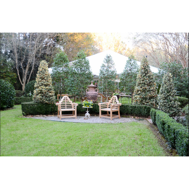 Passarelli Outdoor Teak Dining Armchair