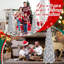Arbre de Noël 5 pi