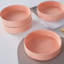 Birch Lane™ Joanna 6-Piece Pasta Bowl Set Porcelain-70055975