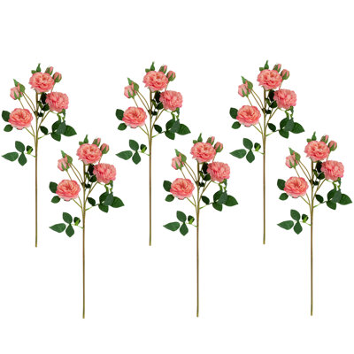 Jets de roses
