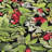 Machine Washable Indoor/Outdoor Christmas Cherries Xhevrie Black Rug-533043354