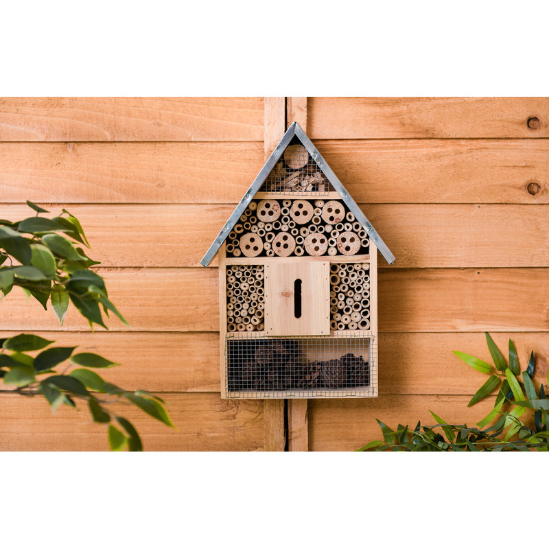 Abenamar Magana Mounted Butterfly House