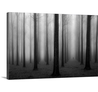 «In a Fog» par Jochen Bongaerts, reproduction de photo de Straub