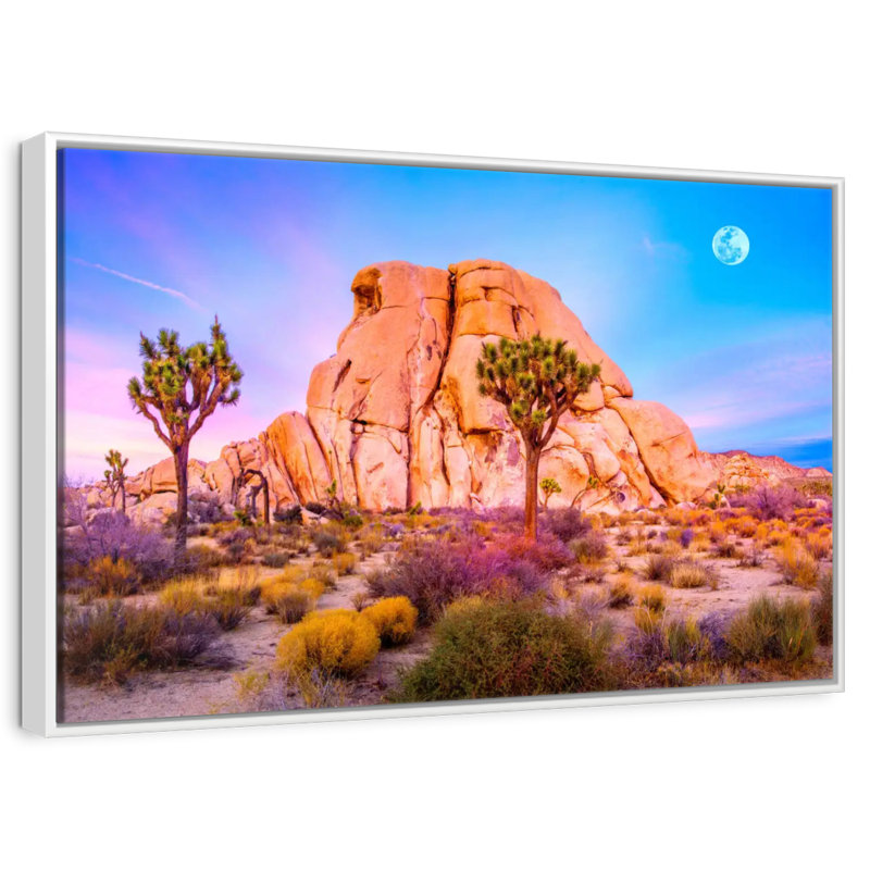 Joshua Tree National Park, Cadre flottant blanc, 13 po x 9 po