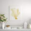 Blush Coral III Print by Sofia Fox-26931070-26931072