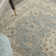 Living Treasures Oriental Wool Area Rug