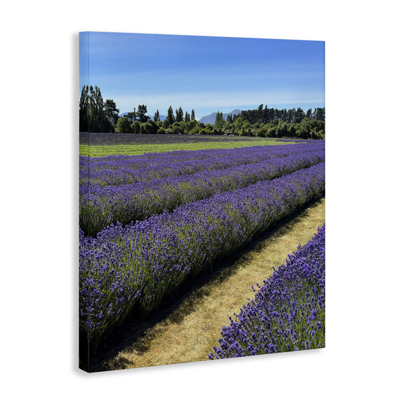 «Lavender Path Landscape», art mural sur toile par Kali Wilson, H 20 po x l 16 po