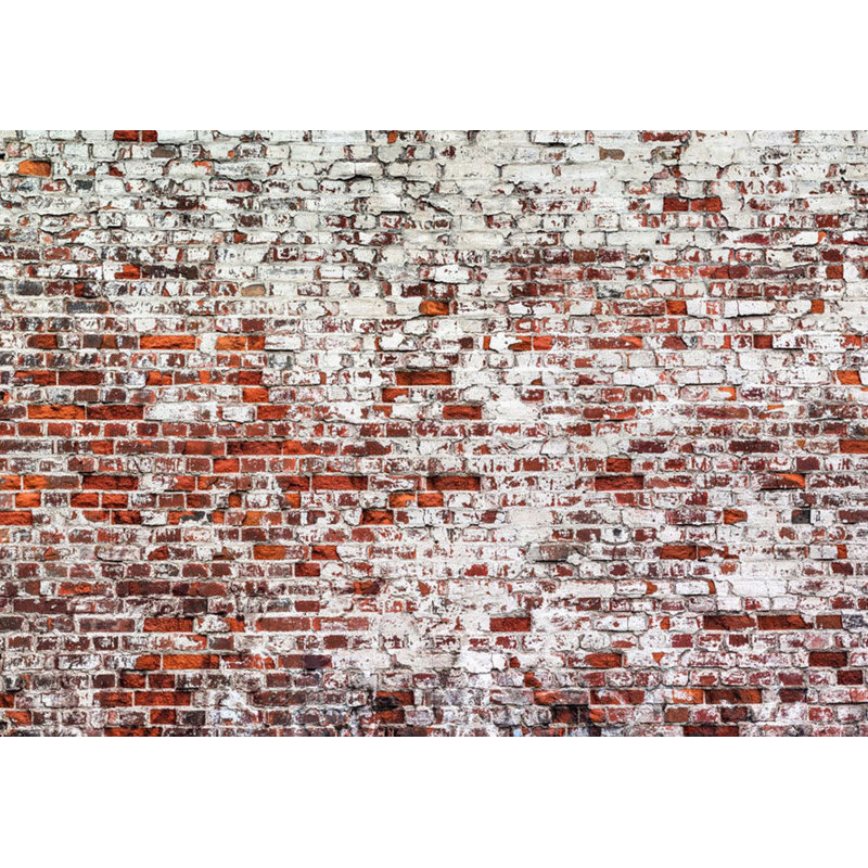 Murale pelez et collez - Vieux mur de briques peintes rustiques, L 96 po x L 68 po