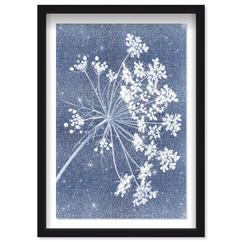 Queen Lace Shadowbox Floral & Botanical Print by Oliver Gal, Black Frame, 10 x 15, 11.5"H x 16.5"W, Black Shadowbox