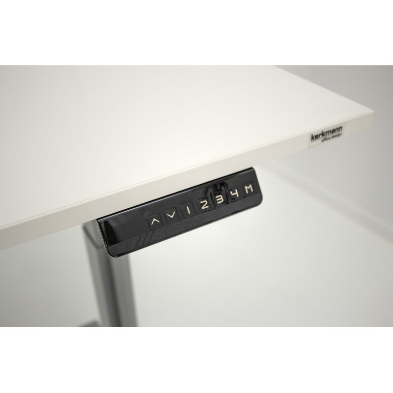 Thaler Adjustable Standing Desk, 120cm H x 160cm W x 80cm D, Anthracite