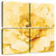 Pivoine jaune vif Harnek-109164386