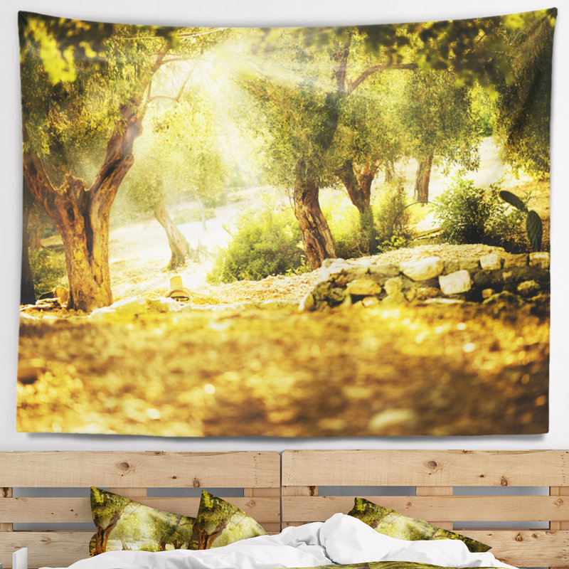 Photographie olive treestry tapisserie, H 50 po x l 60 po
