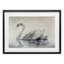 Élégant cygne flottant, impression sous verre encadrée, design par Sasha-1005343527-1005343532