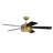 52'' Ceiling Fan with LED Lights-827509880