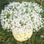 20.47'' Faux Flowering Plant