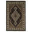 Nodie Oriental Area Rug in Black