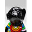 Decorative Dancing Dog figurine
