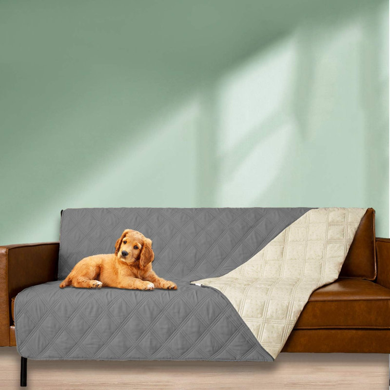 Couverture imperméable pour lit pour chien avec dossier antidérapant pour canapé