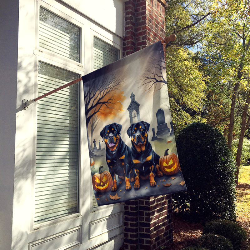 Double Sided 40'' H x 28'' W Polyester Halloween House Flag