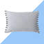 Theis Fiesta Rectangular Scatter Pillow Cover-23965076-105435128