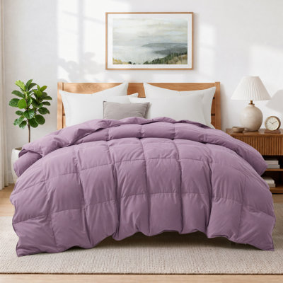 Édredon toutes saisons en plumes de fibre de duvet avec housse en polyester et nylon