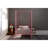 Canopy Metal Bed
