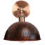Janessa 1-Light Iron Swing Arm Dome Wall Sconce-361731991-361710294
