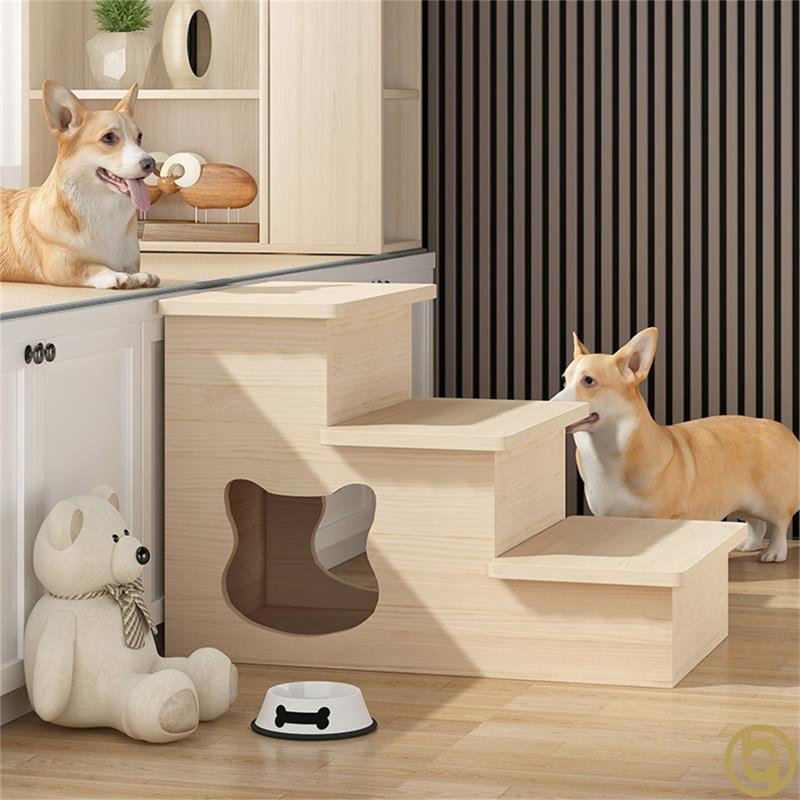Escalier pour chien avec fenêtre