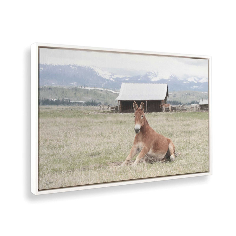 «Mountain Mule» par Lori Deiter, reproduction d'art, 30 W x 20 H, Blanc, Framed Canvas