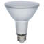 12 Bulb-1921353040