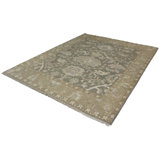 Oriental Area Rug in Light Green