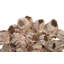 Barnacle 3 Piece Wall Décor Set-50432495
