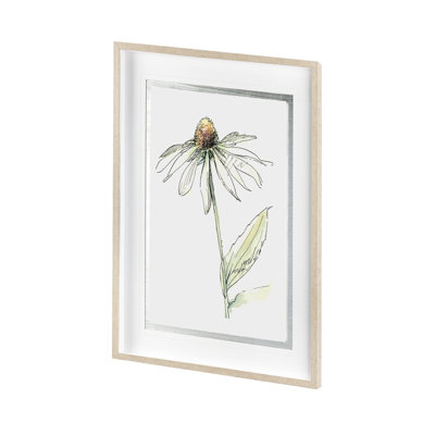 Echinacea I by Panpan Zhang a Framed Art Print Matted under Glass