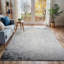 Area Rug-1297536898