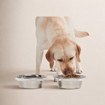 Small Clear Elevated Feeder with Silver Bowls