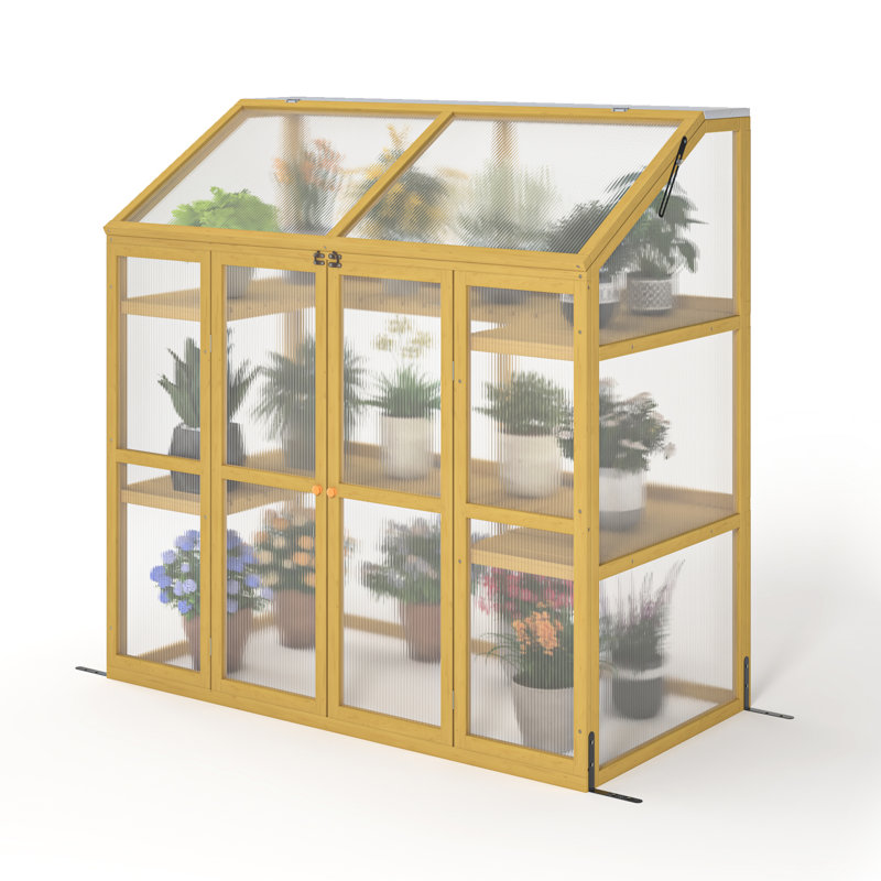 Serre en polycarbonate transparent - Laissez entrer la lumière du soleil. Structure en bois résistante aux conditions difficiles.
