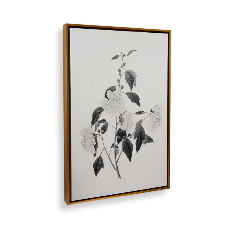 «Botanical III» par Deborah Revell, reproduction d'art sur toile, Cadre flottant, H 30 po x l 20 po, Doré