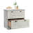 Lateral File, White Finish