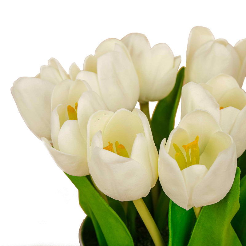 Tulip Bouquet, White